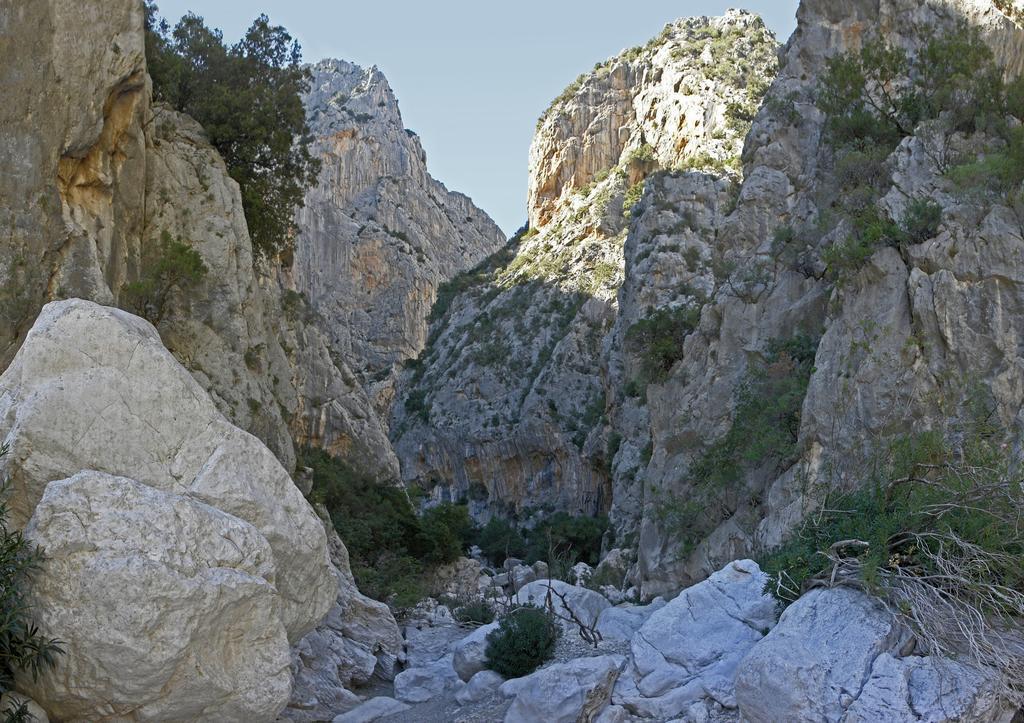 Appartamento Gli Ontani Cala Liberotto Szoba fotó